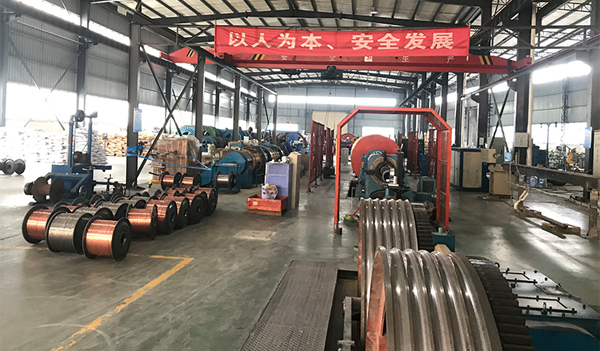 星空·体育（xingkong.com）官方网站
